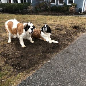 Meet your Posher, Jorge